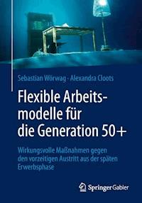 Flexible Arbeitsmodelle für die Generation 50+ - Sebastian Wörwag - E-Book
