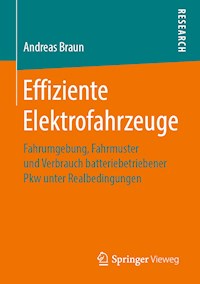 Effiziente Elektrofahrzeuge - Andreas Braun - E-Book