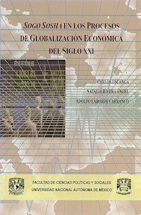 Sogo Sosha en los procesos de globalización económica del siglo XXI - Carlos Uscanga - E-Book