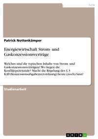 Energiewirtschaft Strom- und Gaskonzessionsverträge - Patrick Nottenkämper - E-Book