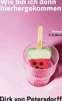Wie bin ich denn hierhergekommen - Dirk Petersdorff - E-Book