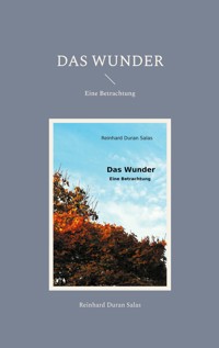 Das Wunder - Reinhard Duran Salas - E-Book