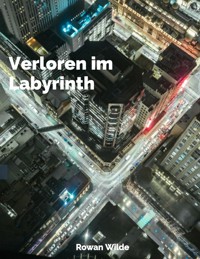 Verloren im Labyrinth - Axel Frost - E-Book