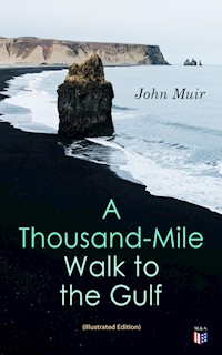 A Thousand-Mile Walk to the Gulf (Illustrated Edition) - John Muir - E-Book