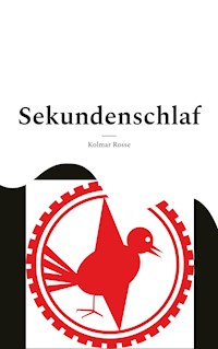 Sekundenschlaf - Kolmar Rosse - E-Book