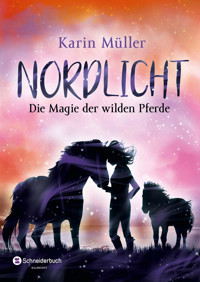 Nordlicht, Band 03 - Karin Müller - E-Book