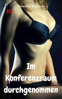 Im Konferenzraum durchgenommen - Bernadette Binkowski - E-Book