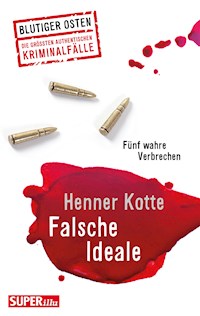 Falsche Ideale - Henner Kotte - E-Book