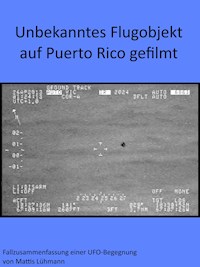 Unbekanntes Flugobjekt auf Puerto Rico gefilmt - Mattis Lühmann - E-Book