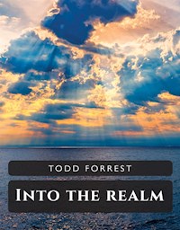 Into The Realm - Todd Forrest - E-Book
