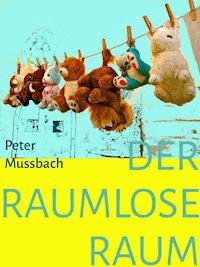Der raumlose Raum - Peter Mussbach - E-Book