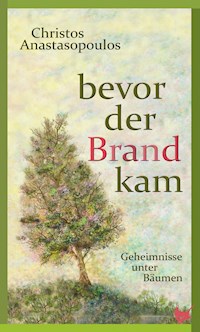 Bevor der Brand kam - Christos Anastasopoulos - E-Book