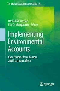 Implementing Environmental Accounts -  - E-Book