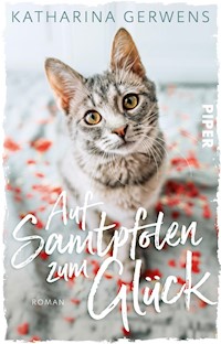 Auf Samtpfoten zum Glück - Katharina Gerwens - E-Book