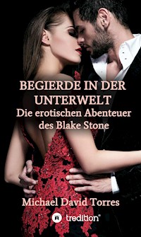 Begierde in der Unterwelt - Die erotischen Abenteuer des Blake Stone - Michael David Torres - E-Book