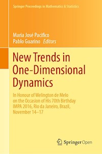 New Trends in One-Dimensional Dynamics -  - E-Book