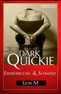 Erniedrigung und Schmerz - Leon M. - E-Book