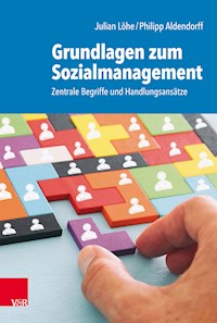 Grundlagen zum Sozialmanagement - Julian Löhe - E-Book