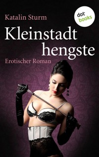 Kleinstadthengste - Katalin Sturm - E-Book