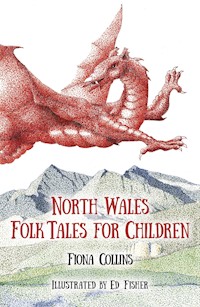 North Wales Folk Tales for Children - Fiona Collins - E-Book