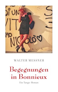 Begegnungen in Bonnieux - Walter Messner - E-Book