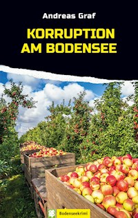 Korruption am Bodensee - Andreas Graf - E-Book