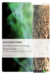 Investitionsentscheidung Biogasanlage - Anne-Cathrin Schöler - E-Book