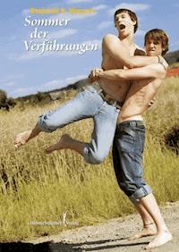 Sommer der Verführungen - Benjamin B Morgner - E-Book