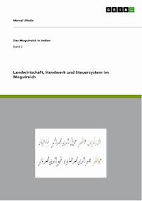 Landwirtschaft, Handwerk und Steuersystem im Mogulreich - Marcel Jökale - E-Book