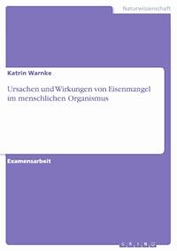 Ursachen und Wirkungen von Eisenmangel im menschlichen Organismus - Katrin Warnke - E-Book