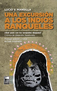 Una excursión a los indios ranqueles - Alejandro Seselovsky - E-Book