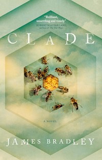 Clade - James Bradley - E-Book