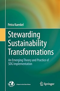Stewarding Sustainability Transformations - Petra Kuenkel - E-Book