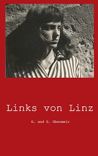 Links von Linz - Gerlinde Obermeir - E-Book