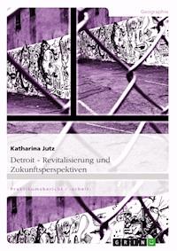 Detroit. Revitalisierung und Zukunftsperspektiven - Katharina Jutz - E-Book