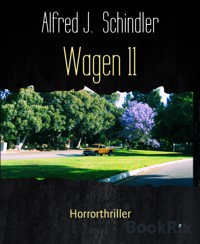 Wagen 11 - Alfred J. Schindler - E-Book