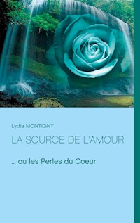 La source de l'amour - Lydia Montigny - E-Book