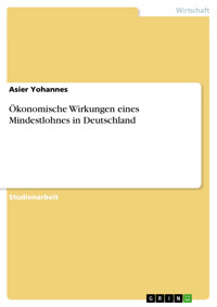 Ökonomische Wirkungen eines Mindestlohnes in Deutschland - Asier Yohannes - E-Book