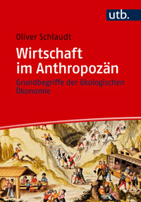 Wirtschaft im Anthropozän - Oliver Schlaudt - E-Book