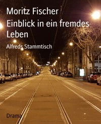 Einblick in ein fremdes Leben - Moritz Fischer - kostenlos E-Book