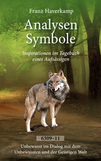 Analysen Symbole 6309-6311 - Franz Haverkamp - E-Book