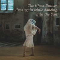 The Ghost Dancer lives again while dancing with the Sun - Xavier Bujon - E-Book