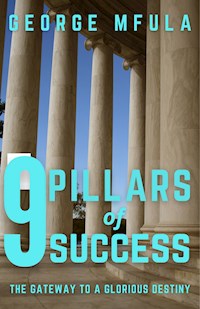 9 Pillars of Success - George Mfula - E-Book