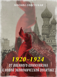 От военного коммунизма к новой экономической политике (1920–1924) - Михаил Вострышев - E-Book