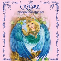 Сказки птицы-говоруньи - Народное творчество - Hörbuch