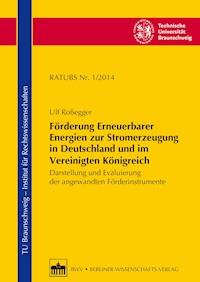 Förderung Erneuerbarer Energien zur Stromerzeugung in Deutschland und im Vereinigten Königreich - Ulf Roßegger - E-Book