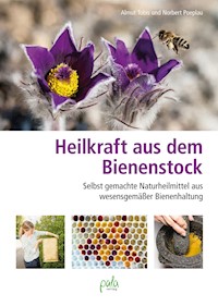Heilkraft aus dem Bienenstock - Almut Tobis - E-Book