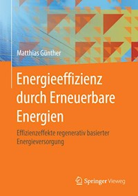Energieeffizienz durch Erneuerbare Energien - Matthias Günther - E-Book