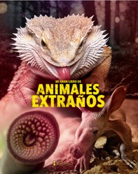 Mi gran libro de animales extraños - Grupo Editorial Sin Fronteras - E-Book