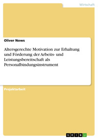 Altersgerechte Motivation zur Erhaltung und Förderung der Arbeits- und Leistungsbereitschaft als Personalbindungsinstrument - Oliver Nows - E-Book